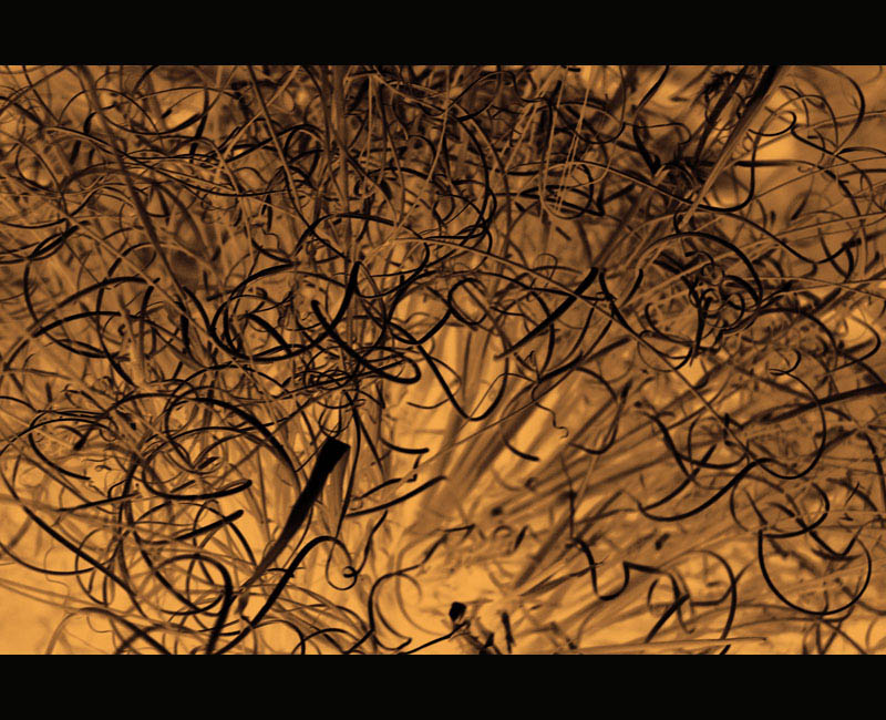 Metaphysiscs Photo